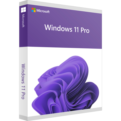 Microsoft Windows 11 Pro 2 PC Download