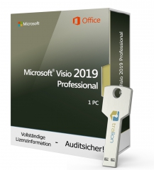 Microsoft Visio 2019 Professional - chiavetta USB per 1 PC